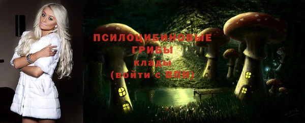 первитин Гусь-Хрустальный
