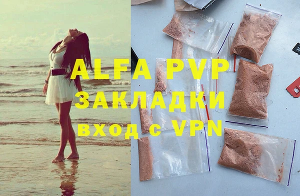 ПСИЛОЦИБИНОВЫЕ ГРИБЫ Тавда