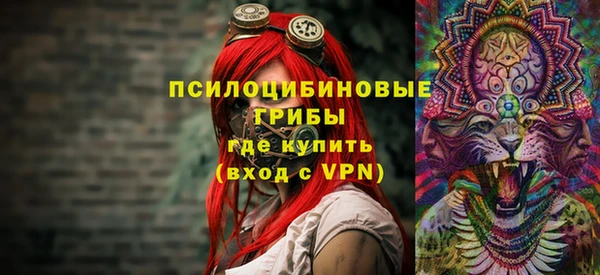 экстази Гусев