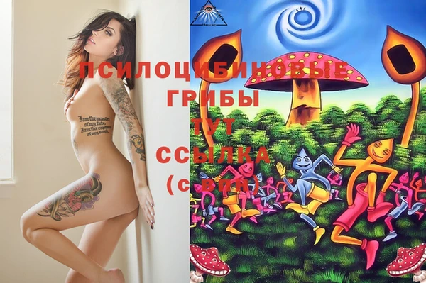 jwh Гусиноозёрск