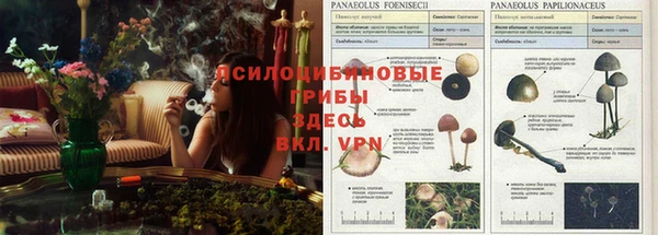 экстази Гусев