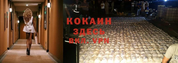 экстази Гусев