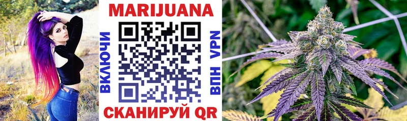 Купить где Отрадный Канабис THC 21%